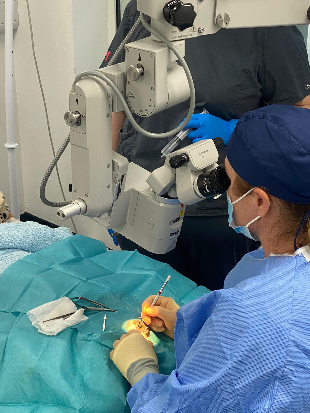 Operating Microscope in use at Medivet Godstone Referrals