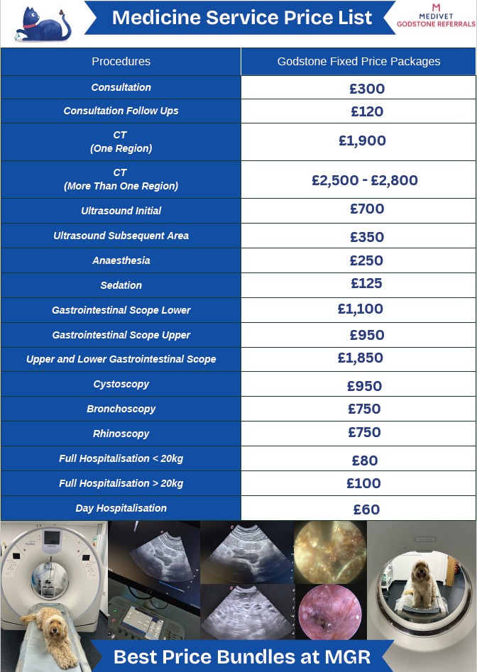 Our current price list for medicine services at Medivet Godstone Referrals