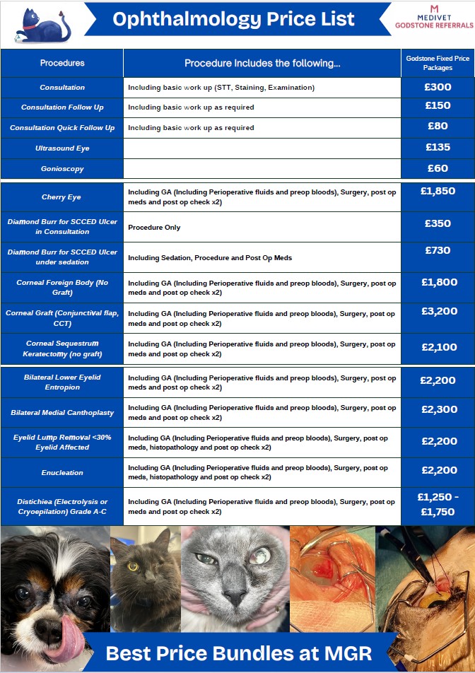 Our current price list for ophthalmology services at Medivet Godstone Referrals